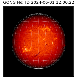 gong - 2024-06-01T12:00:22