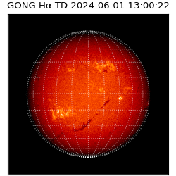 gong - 2024-06-01T13:00:22