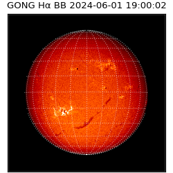 gong - 2024-06-01T19:00:02