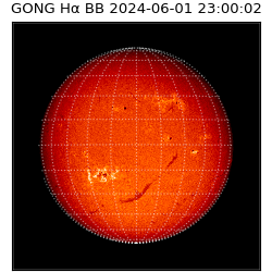 gong - 2024-06-01T23:00:02