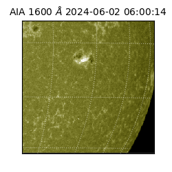 saia - 2024-06-02T06:00:14.118000