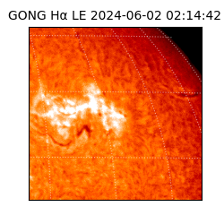 gong - 2024-06-02T02:14:42