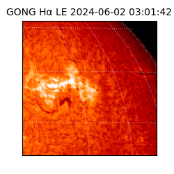 gong - 2024-06-02T03:01:42