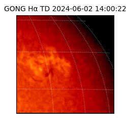 gong - 2024-06-02T14:00:22