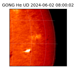 gong - 2024-06-02T08:00:02