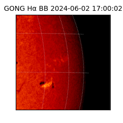 gong - 2024-06-02T17:00:02