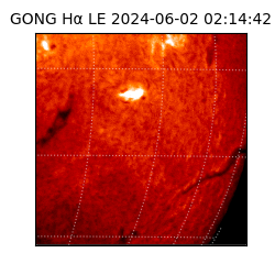gong - 2024-06-02T02:14:42