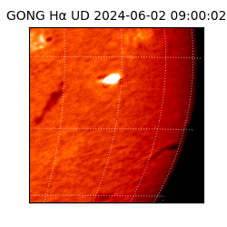 gong - 2024-06-02T09:00:02