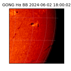 gong - 2024-06-02T18:00:02