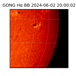 gong - 2024-06-02T20:00:02