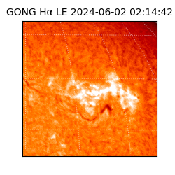 gong - 2024-06-02T02:14:42