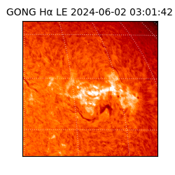 gong - 2024-06-02T03:01:42