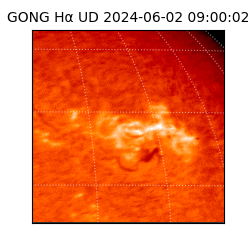 gong - 2024-06-02T09:00:02