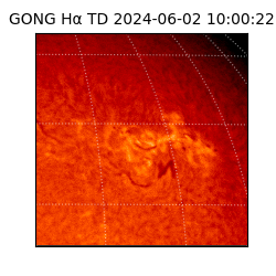 gong - 2024-06-02T10:00:22