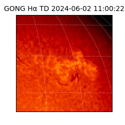 gong - 2024-06-02T11:00:22