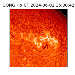 gong - 2024-06-02T15:00:42