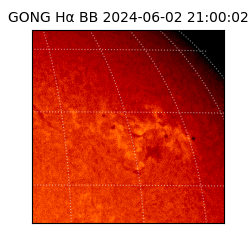 gong - 2024-06-02T21:00:02