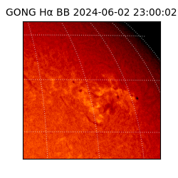 gong - 2024-06-02T23:00:02