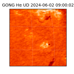 gong - 2024-06-02T09:00:02