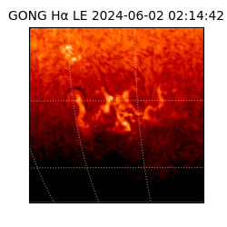 gong - 2024-06-02T02:14:42