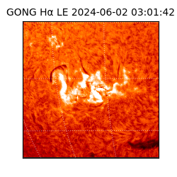 gong - 2024-06-02T03:01:42