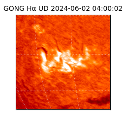 gong - 2024-06-02T04:00:02