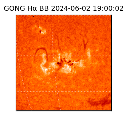 gong - 2024-06-02T19:00:02