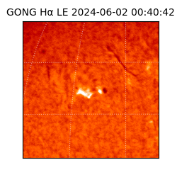 gong - 2024-06-02T00:40:42