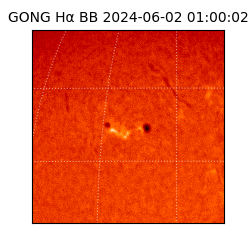 gong - 2024-06-02T01:00:02