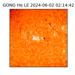 gong - 2024-06-02T02:14:42