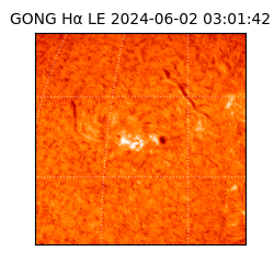 gong - 2024-06-02T03:01:42