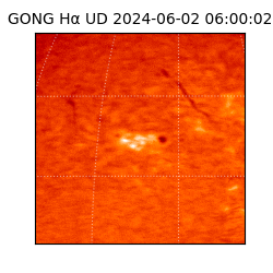 gong - 2024-06-02T06:00:02