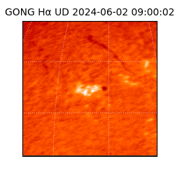 gong - 2024-06-02T09:00:02