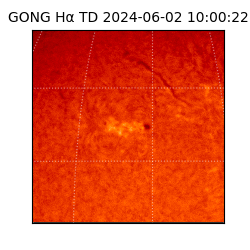 gong - 2024-06-02T10:00:22