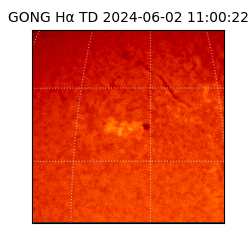 gong - 2024-06-02T11:00:22