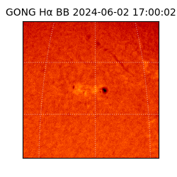 gong - 2024-06-02T17:00:02
