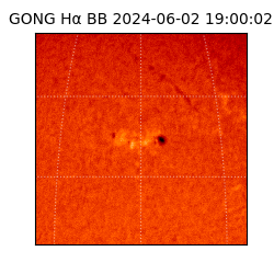 gong - 2024-06-02T19:00:02