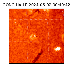 gong - 2024-06-02T00:40:42