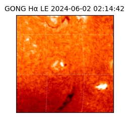 gong - 2024-06-02T02:14:42