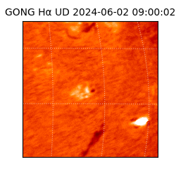 gong - 2024-06-02T09:00:02