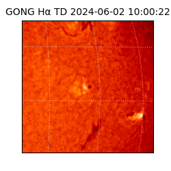 gong - 2024-06-02T10:00:22