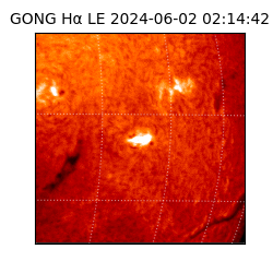 gong - 2024-06-02T02:14:42