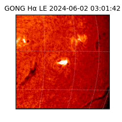 gong - 2024-06-02T03:01:42