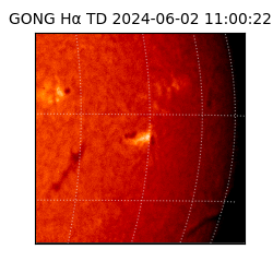 gong - 2024-06-02T11:00:22