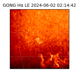 gong - 2024-06-02T02:14:42