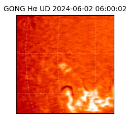 gong - 2024-06-02T06:00:02