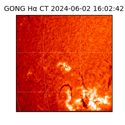 gong - 2024-06-02T16:02:42