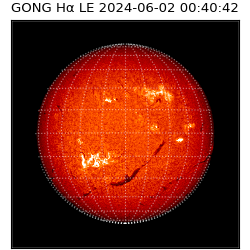 gong - 2024-06-02T00:40:42