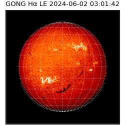 gong - 2024-06-02T03:01:42