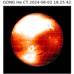 gong - 2024-06-02T18:25:42